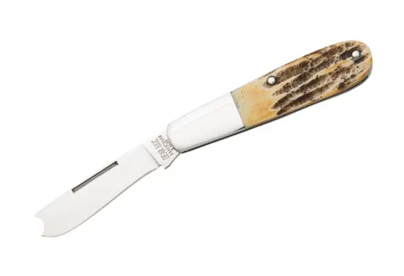 2 5/8-Inch Genuine India Stag Bone Handle Knife 1