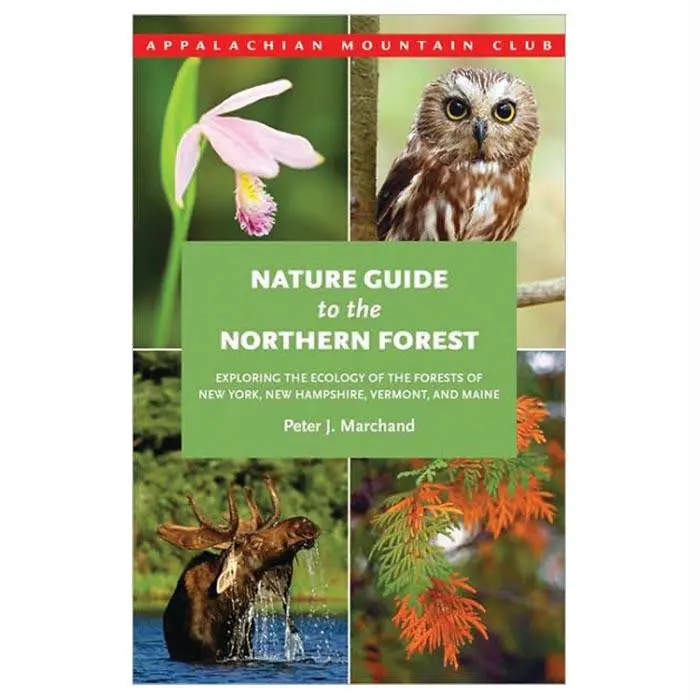 Amc Nature Guide – Forest-Free Edition 1