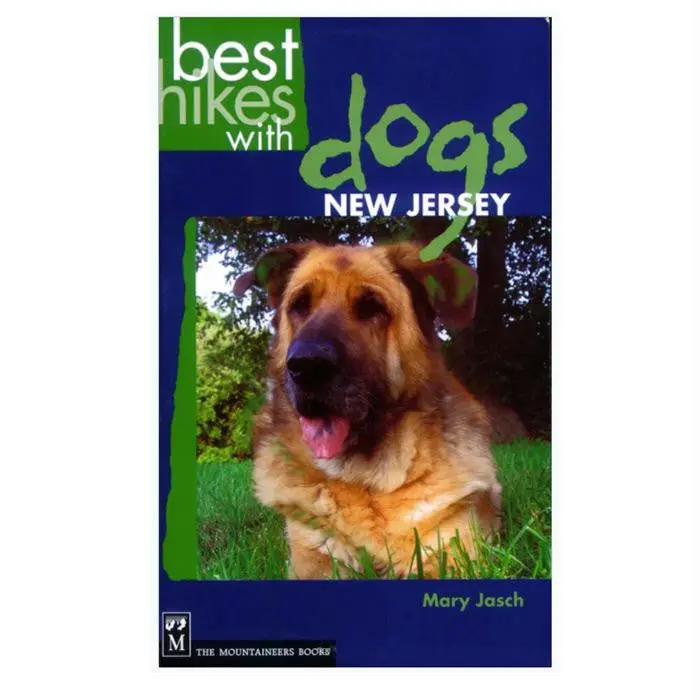Best Hikes With Dogs In New Jersey 1