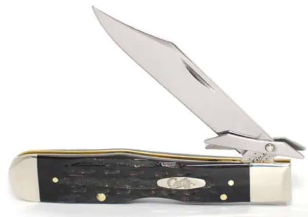 Cheetah Pocket Knife With Buffalo Horn Handle 1