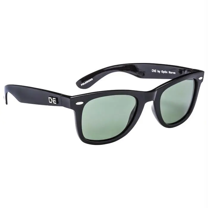 Dylan Black Polarized Sunglasses 1