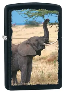 Elephant Silhouette Black Matte Zippo Lighter 1