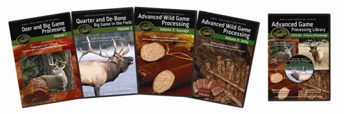 Five-Disc Dvd Library For Game Development And Processing 1