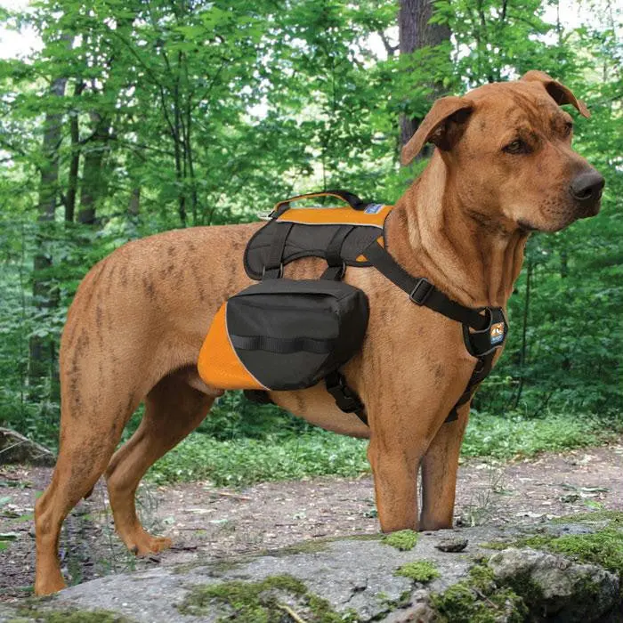 Kurgo Baxter Adventure Pack – Black & Orange 1