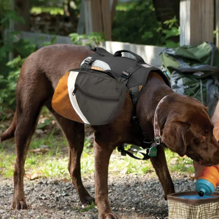 Kurgo Big Baxter Expedition Pack – Black & Orange 1