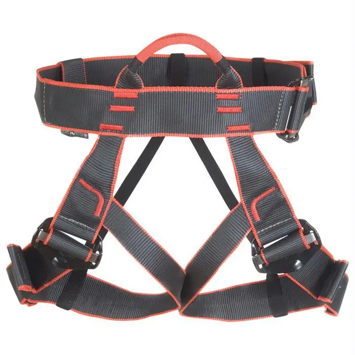 Mygale Adjustable Full-Body Harness — One-Size-Fits-Most 1