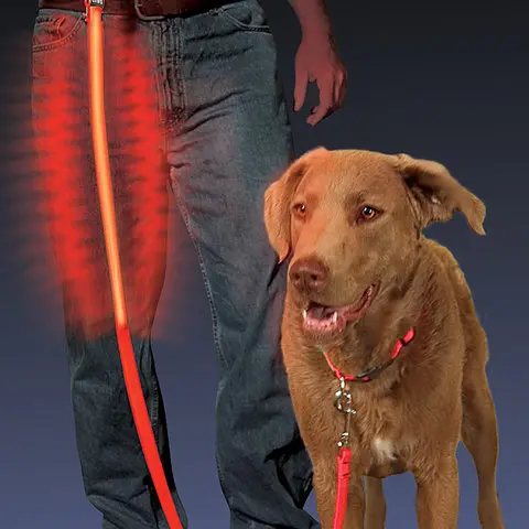 Nite Dawg Reflective Dog Leash – Bright Red 1