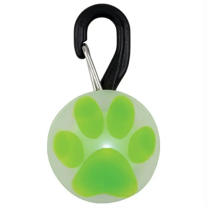Petlit Led Illuminated Dog Collar – Lime Green With Paw Accent 1