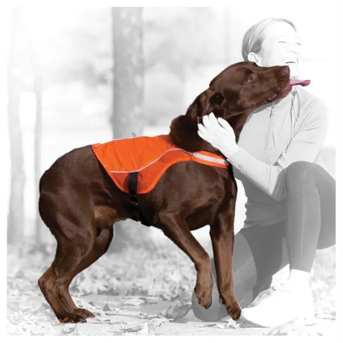Reflective Dog Safety Vest – Large Size For Visibility And Protection 1