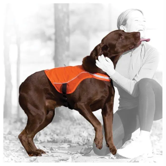 Reflective Dog Safety Vest – Medium Fit For Enhanced Visibility And Protection 1