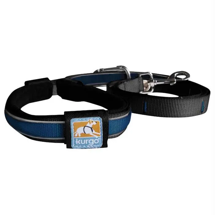 Reflective Protective Dog Leash – Blue 1