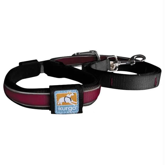 Reflective Protective Dog Leash – Raspberry 1